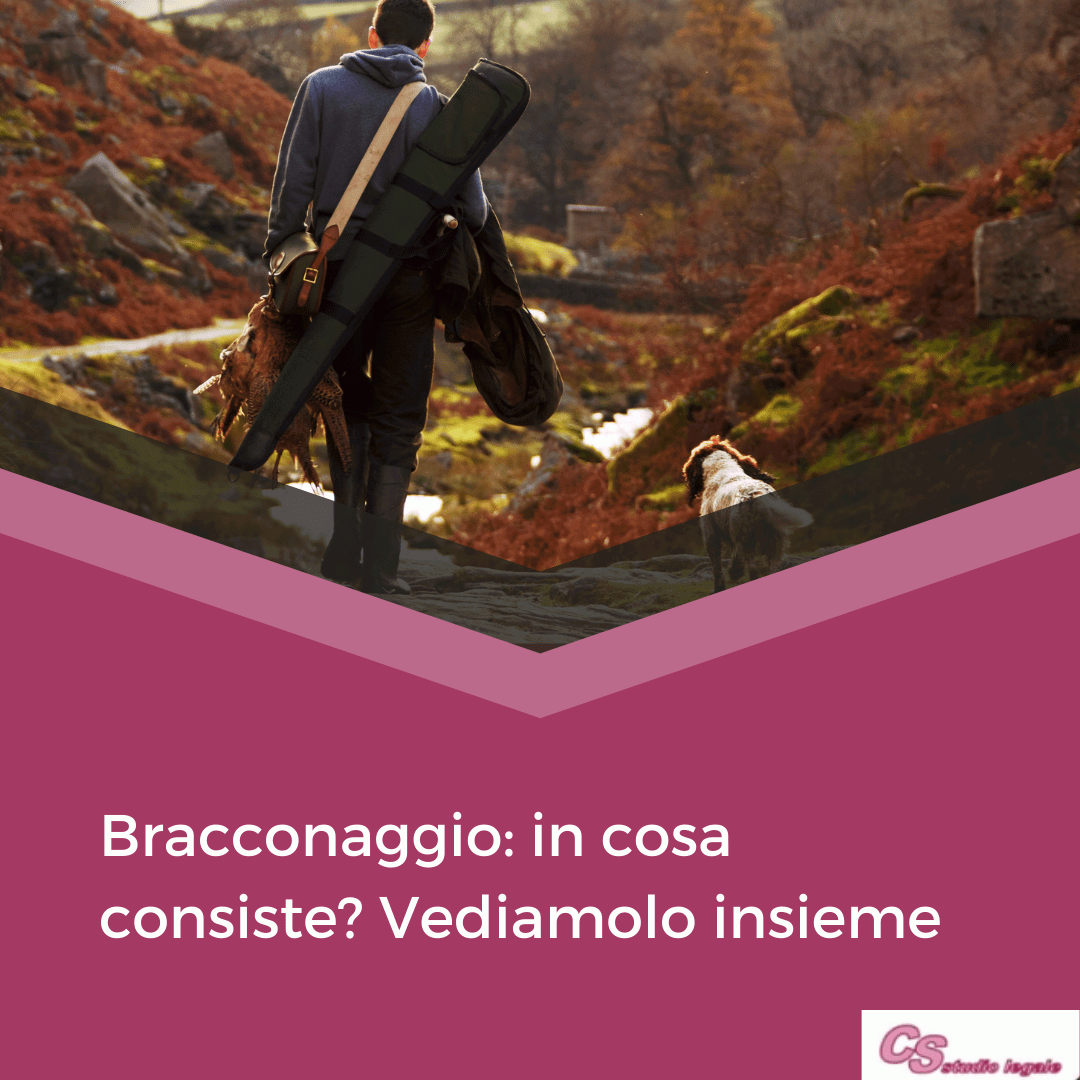 bracconaggio